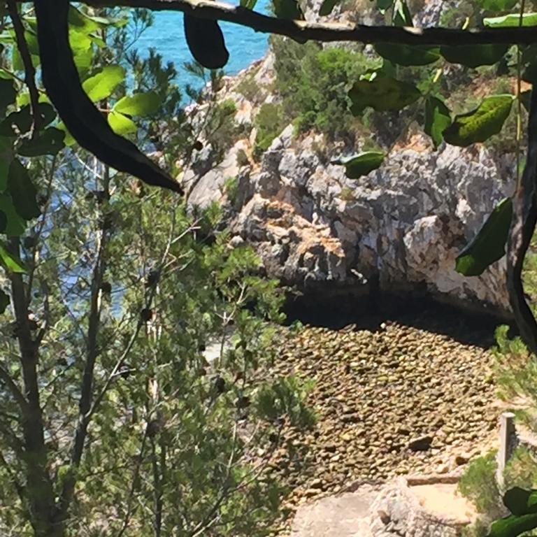 Willa Casa Do Farol Da Arrabida Portinho da Arrábida Zewnętrze zdjęcie